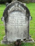 image of grave number 101531